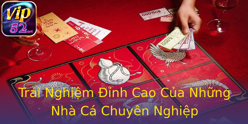 Trải Nghiệm Đỉnh Cao Của Những Nhà Cá Chuyên Nghiệp Trải Nghiệm Đỉnh Cao Của Những Nhà Cá Chuyên Nghiệp